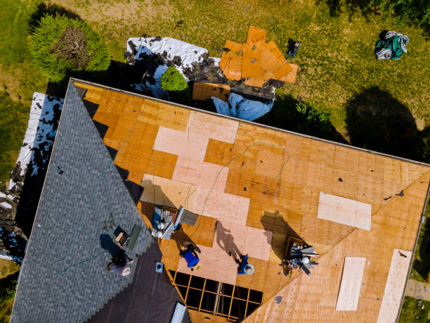 Best Roof Gutter Cleaning  in Pearl River, MS